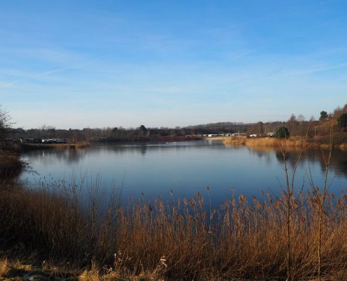 Kransburger See im Winter